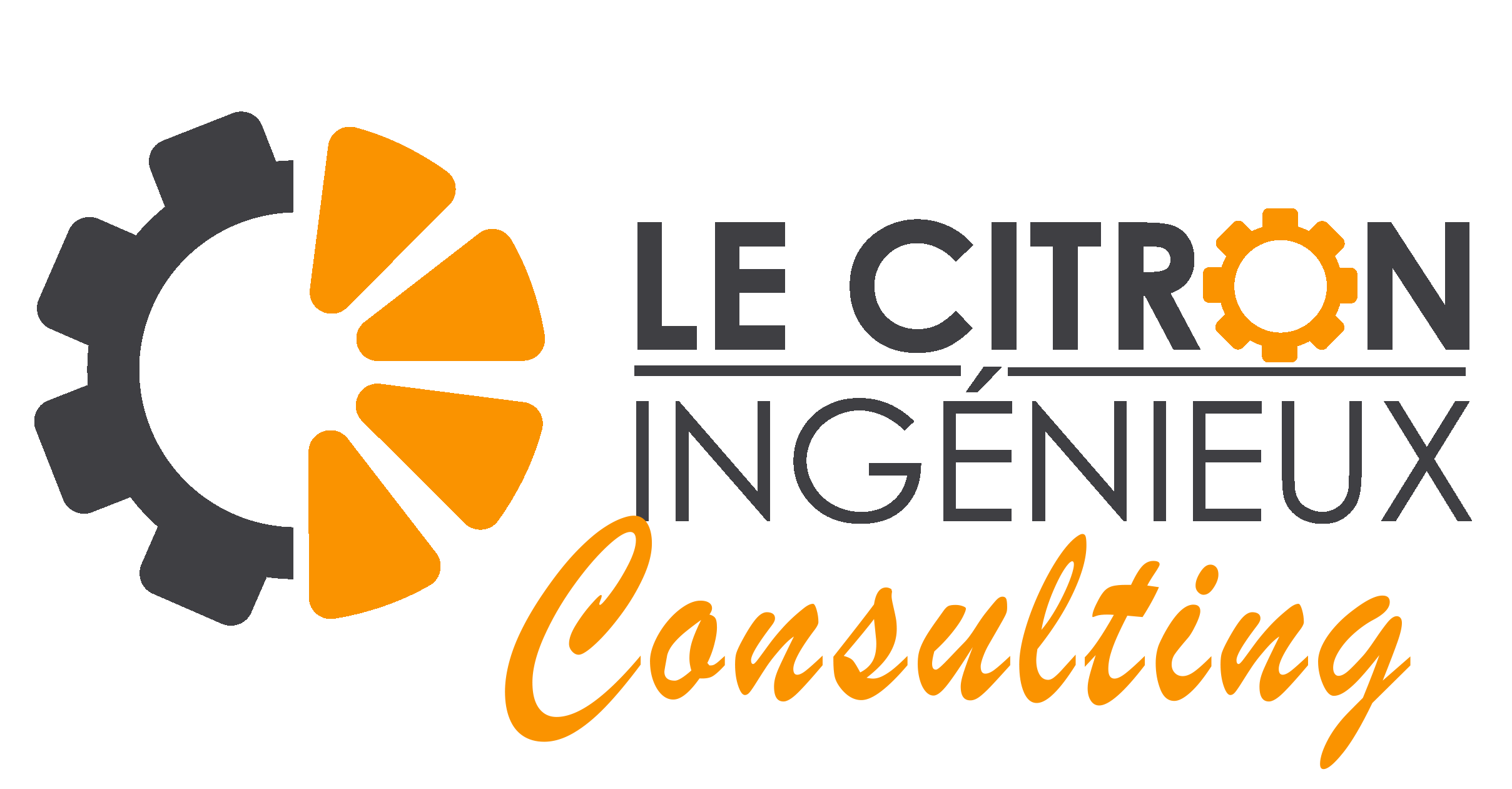 Le Citron Ingenieux Outsourcing